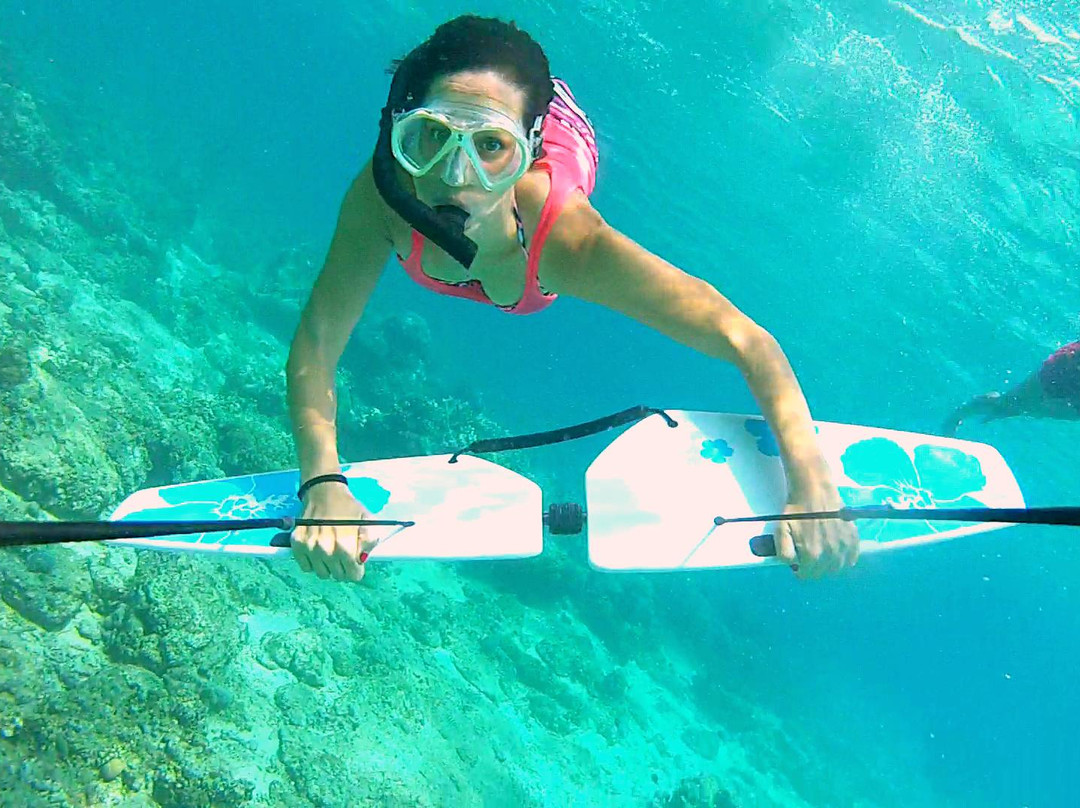 Subwing Gili Islands