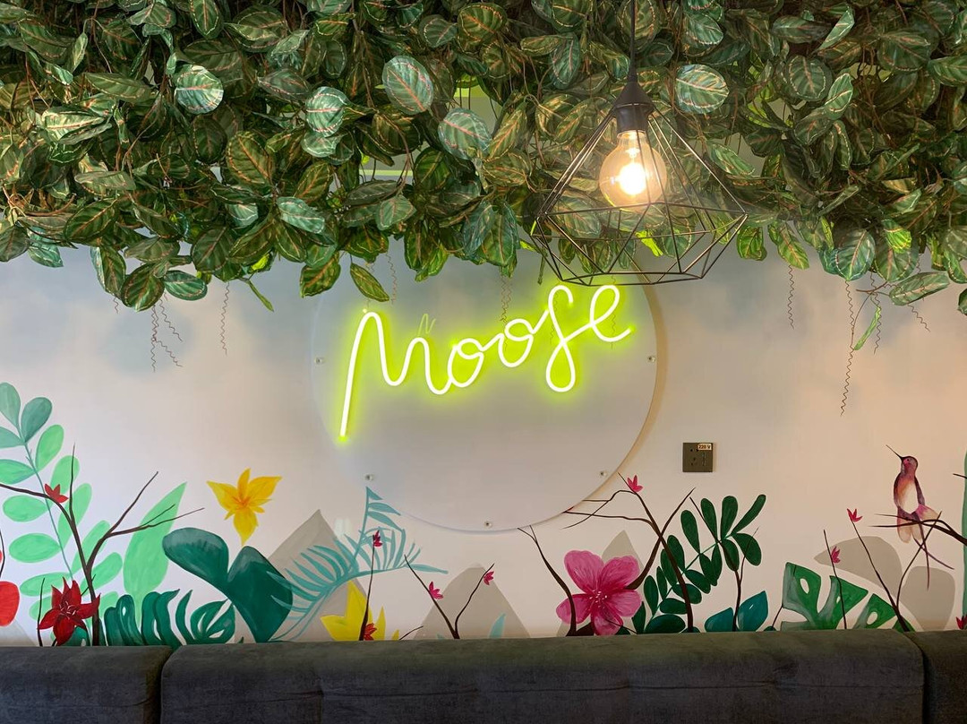 Coffee Moose