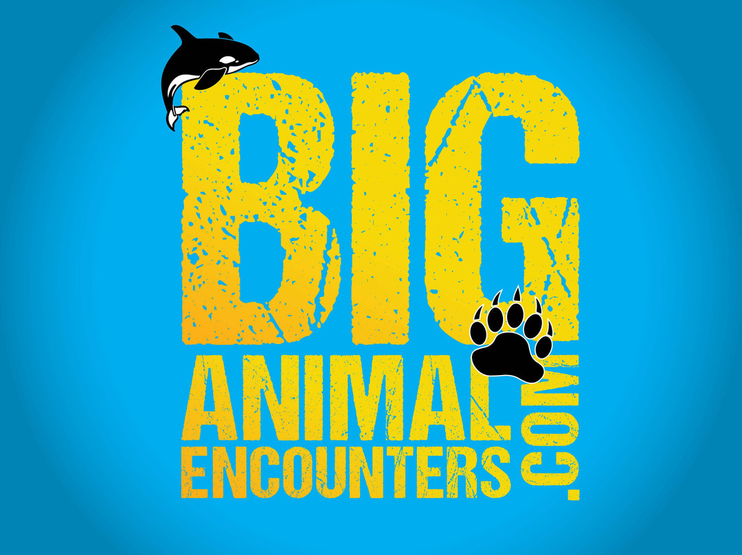 Big Animal Encounters-坎贝尔里弗必去景点