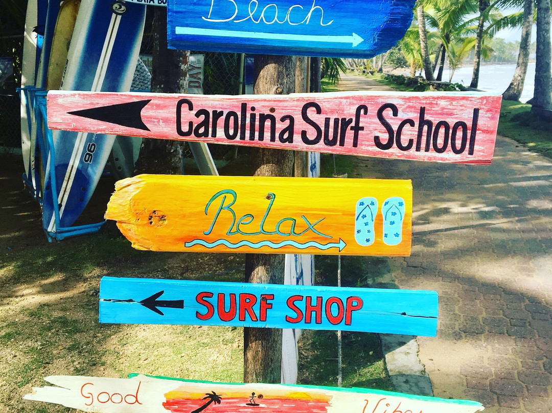 Carolina Surf School景点图片