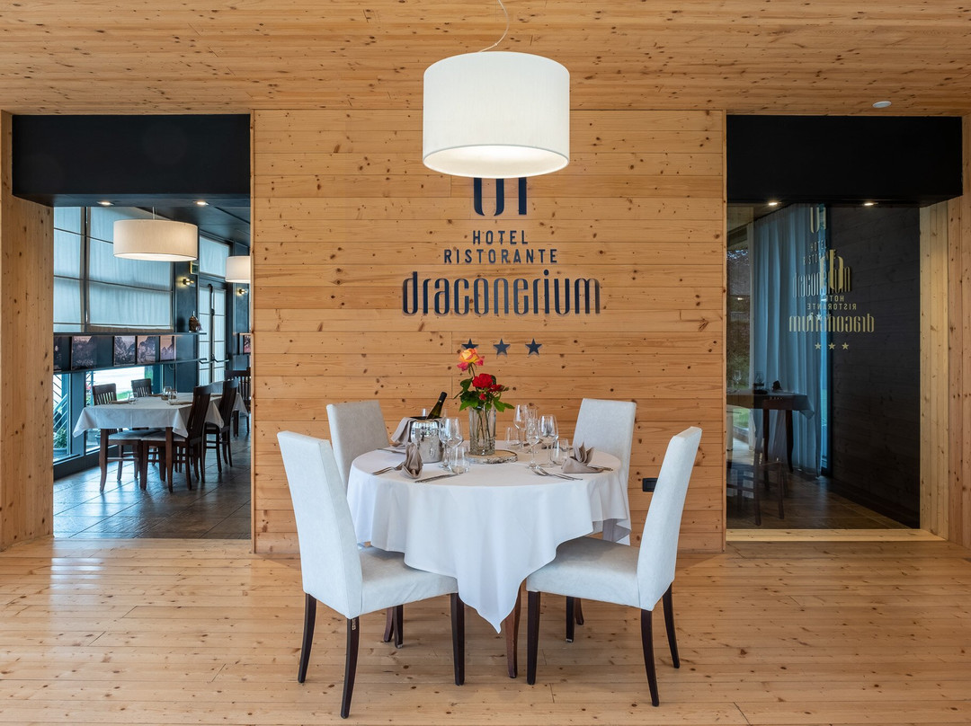 Dronero餐馆和美食-Draconerium Ristorante Pizzeria