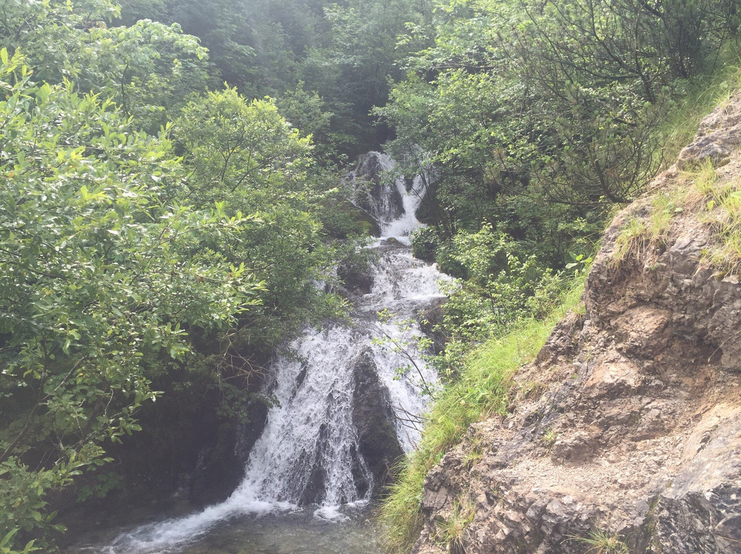 Camping San Francesco