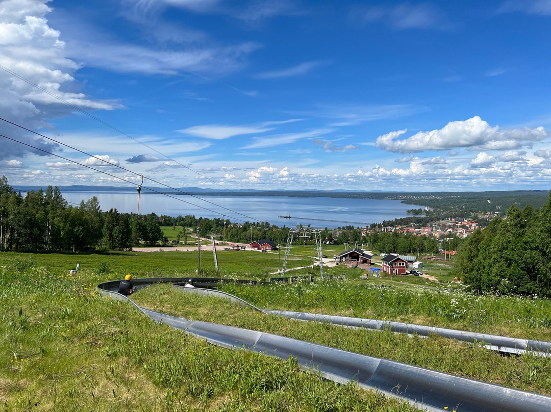 Rättviks Slalombacke & Sommarrodelbana景点图片