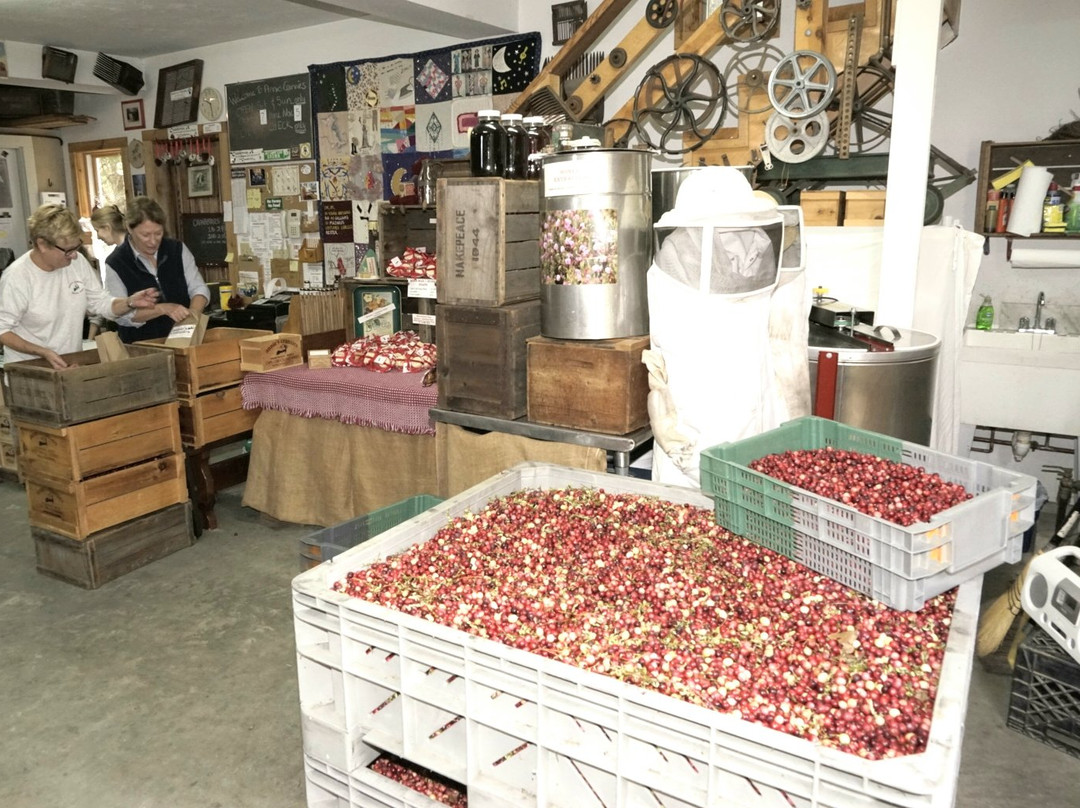 Annie's Crannies景点图片