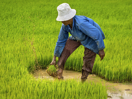 Soben Travel-金边必去景点