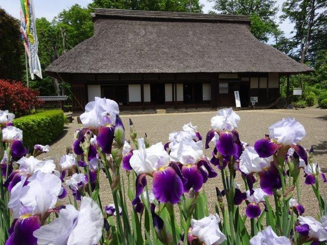 Kawagoe Michiryokuchi Old House Garden-立川市必去景点