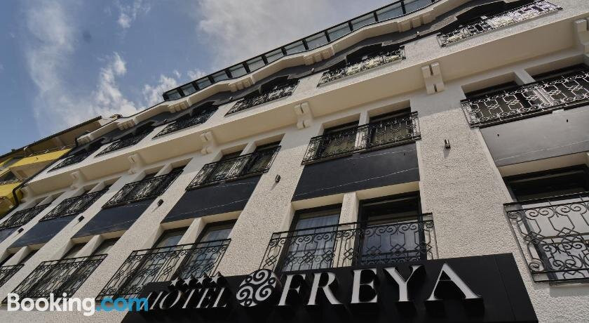 Hotel Freya主图