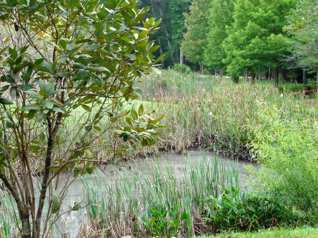 阿尔法利塔旅游景点-Rock Mill Park
