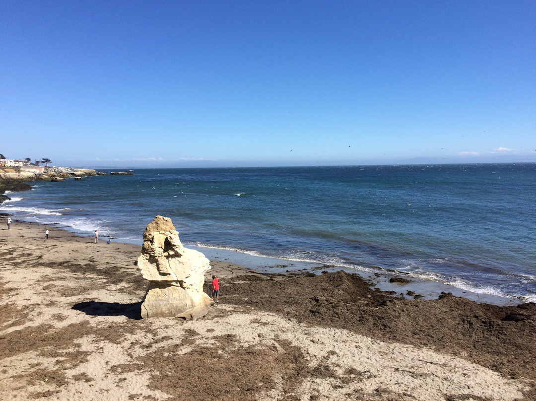 Mitchell's Cove Beach-圣克鲁斯必去景点