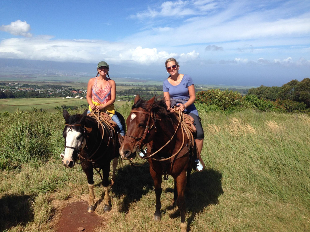 Piiholo Ranch Horseback景点图片