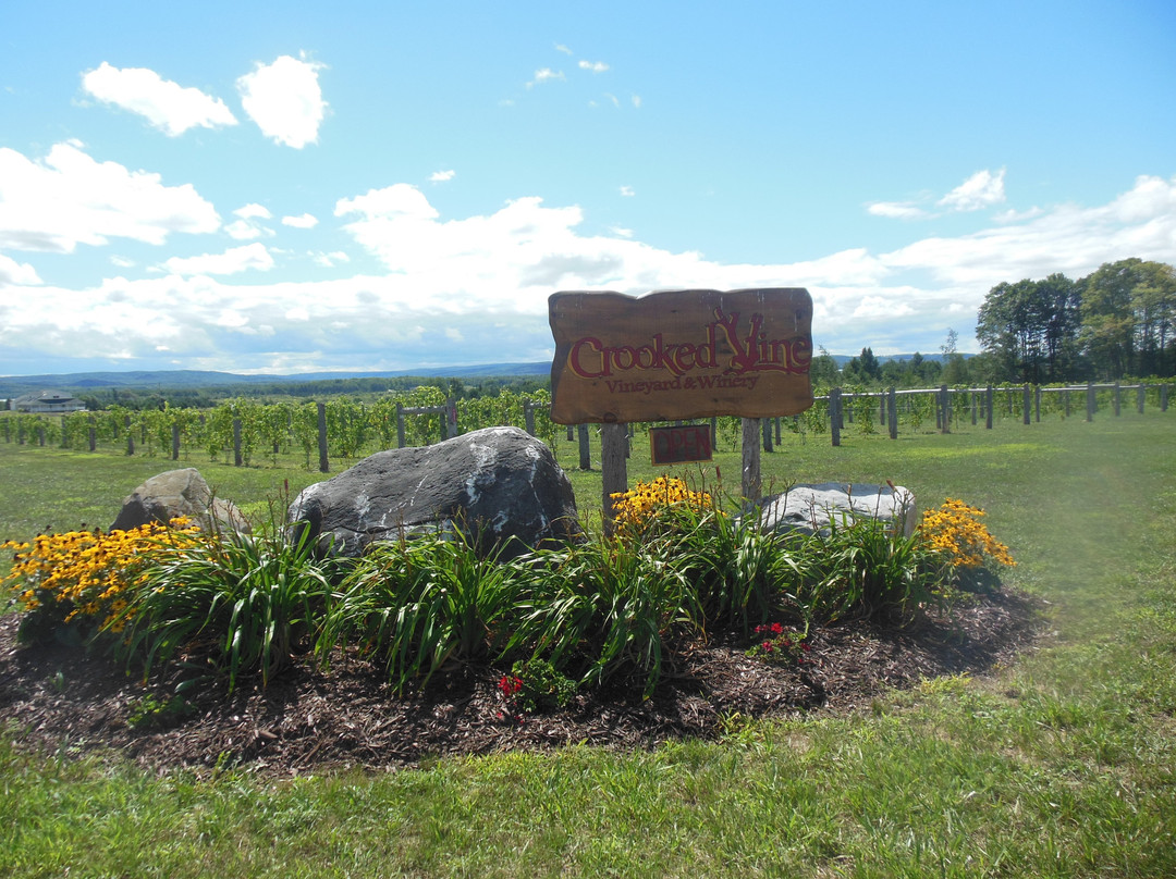 Crooked Vine Vineyard & Winery景点图片