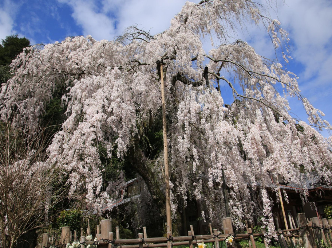 Ono-ji Temple景点图片