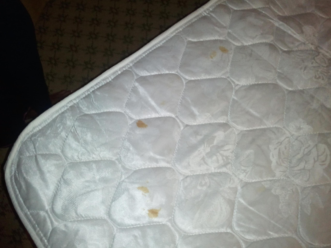 Comfort Inn & Suites Chestertown主图