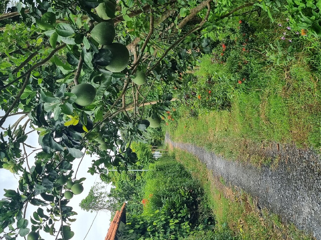 Mekong Nature Lodge