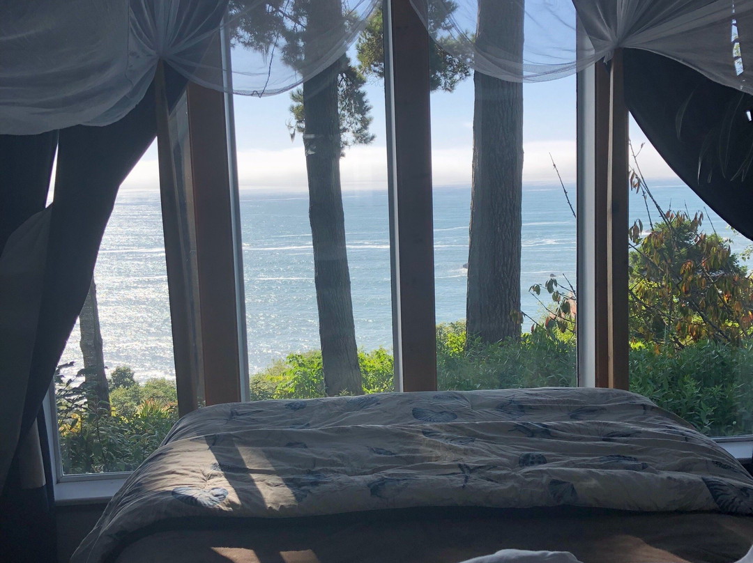 Trinidad酒店住宿-Lost Whale Inn