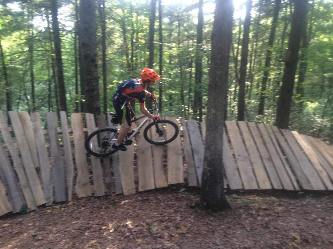 Draper Mountain Bike Trail