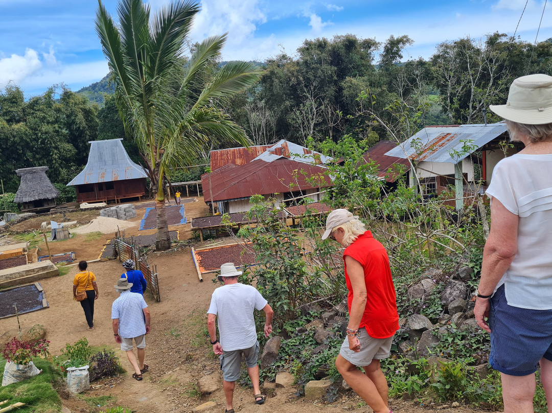 Kebun Kopi Tani景点图片