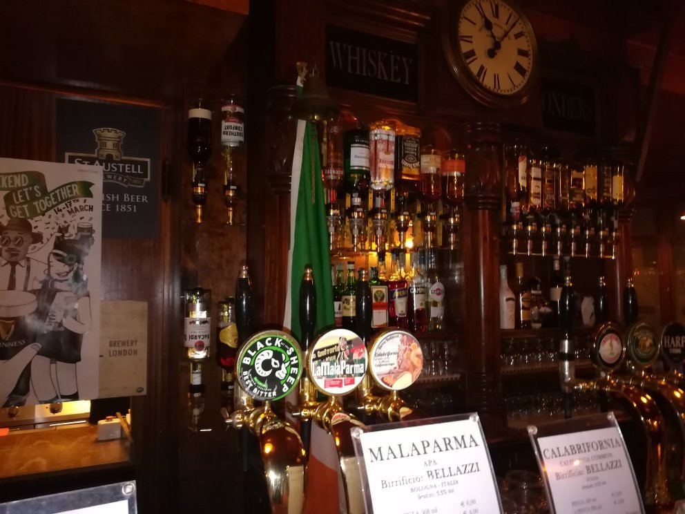 Irish Pub Celtic Druid-博洛尼亚必去景点