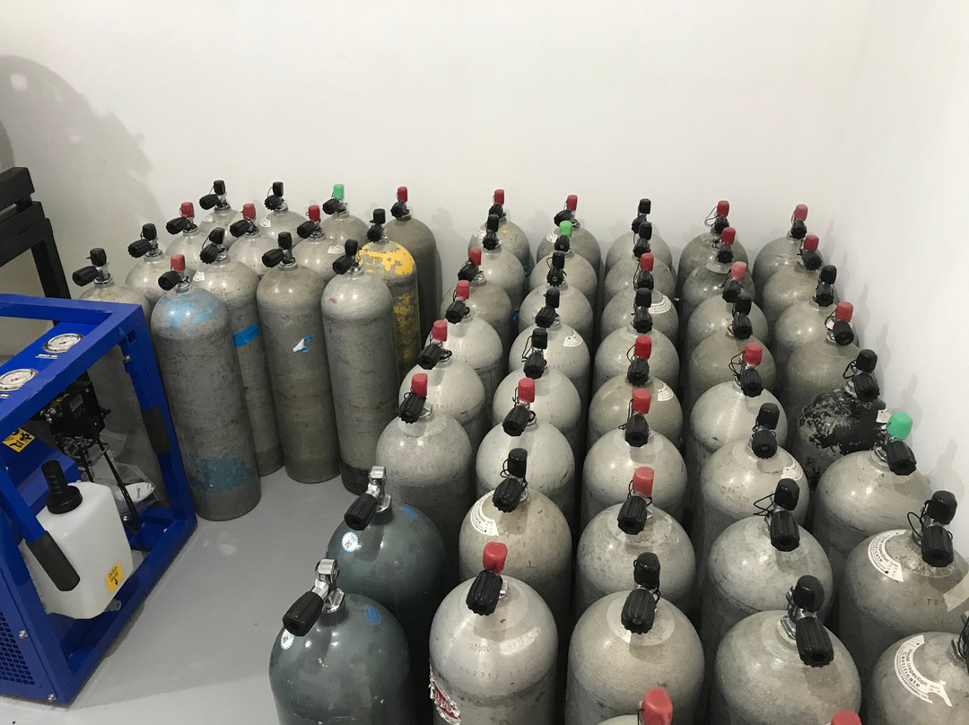 Costa Rica Dive and Surf-主日镇必去景点