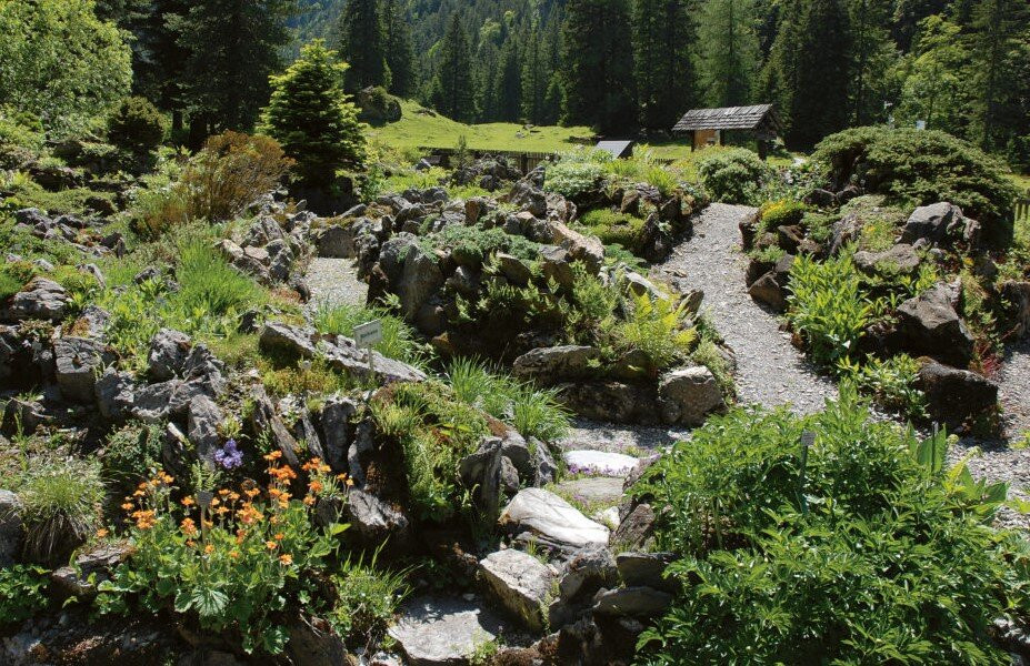 Jardin Alpin de Pont de Nant La Thomasia景点图片