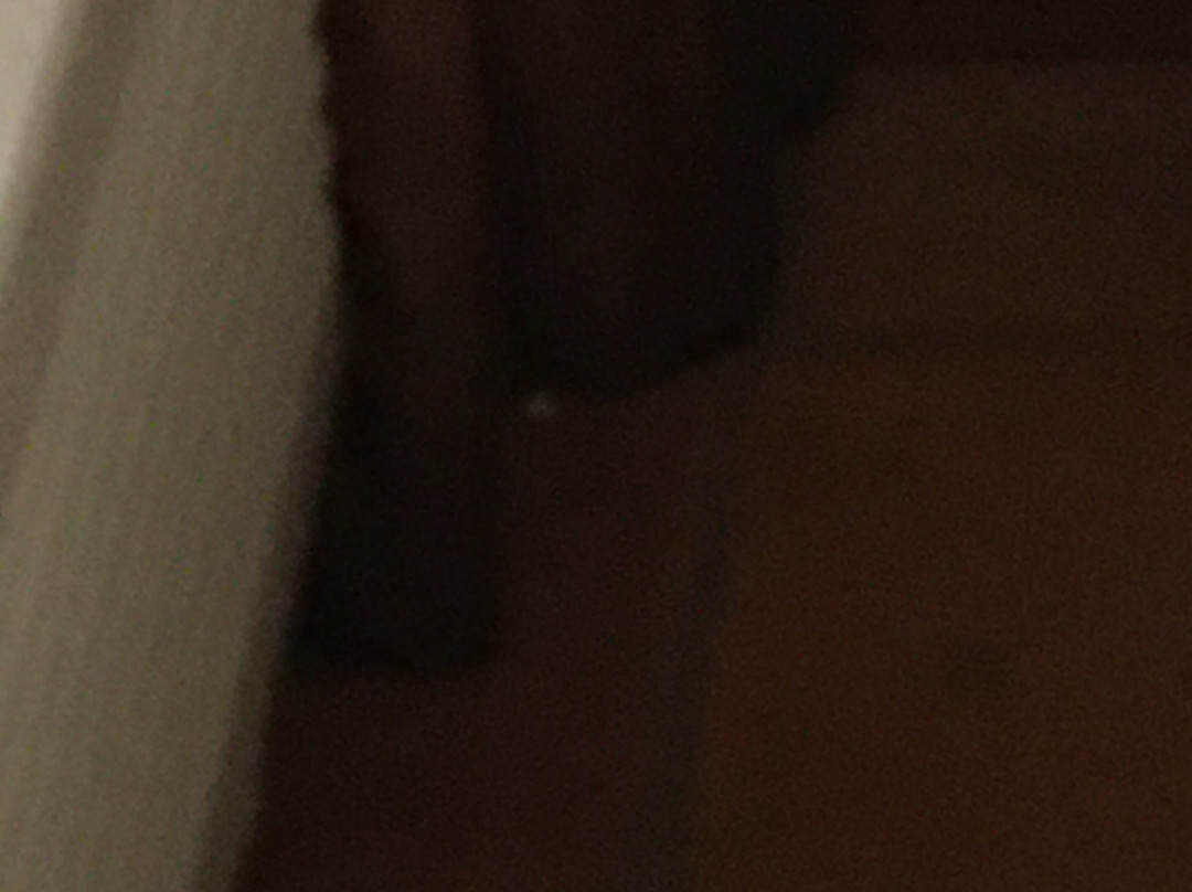 Y.O. Ranch Hotel主图