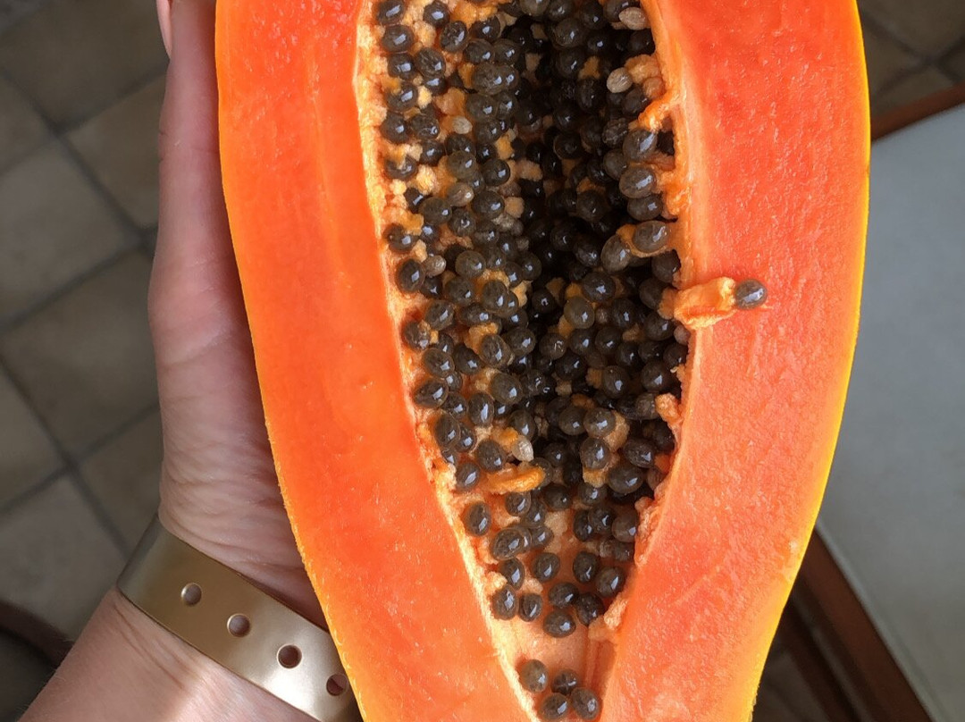 西纳曼贝酒店主图