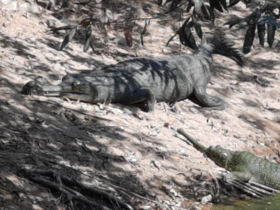 The Madras Crocodile Bank Trust and Centre for Herpetology景点图片