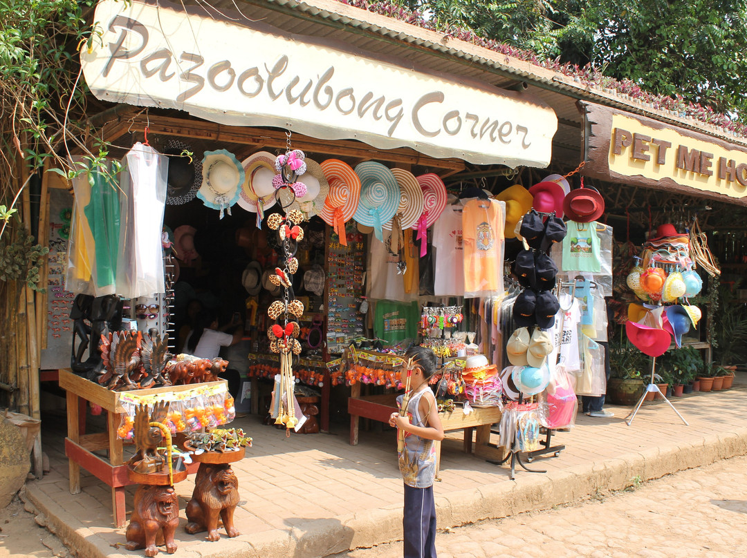 Zoobic Safari-苏比克湾自由贸易区必去景点