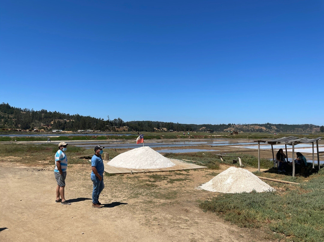 Salinas de Cahuil-皮钦勒姆必去景点