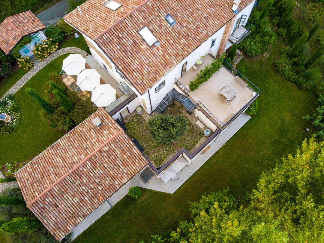 La Collina Dei Conigli主图
