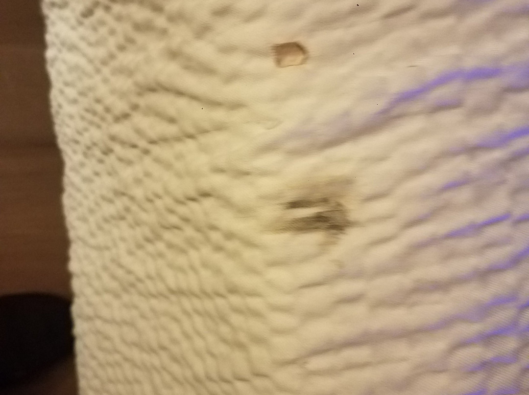 Red Roof Inn DeFuniak Springs主图