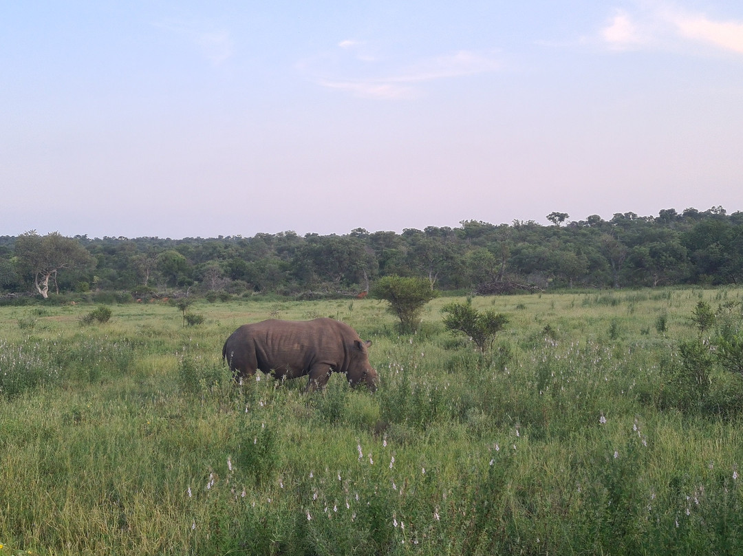 Crossroads Safaris & Tours-克鲁格国家公园必去景点