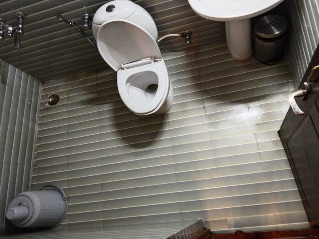 Hotel Rainforest主图