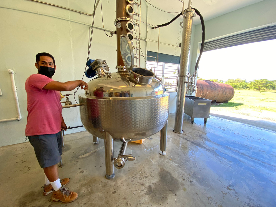 Crab Island Rum Distillery-维切克岛必去景点
