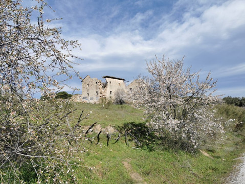 Casa Patata-Galapagar必去景点