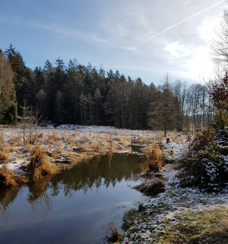 Dreiburgensee - Rothauer See-Tittling必去景点