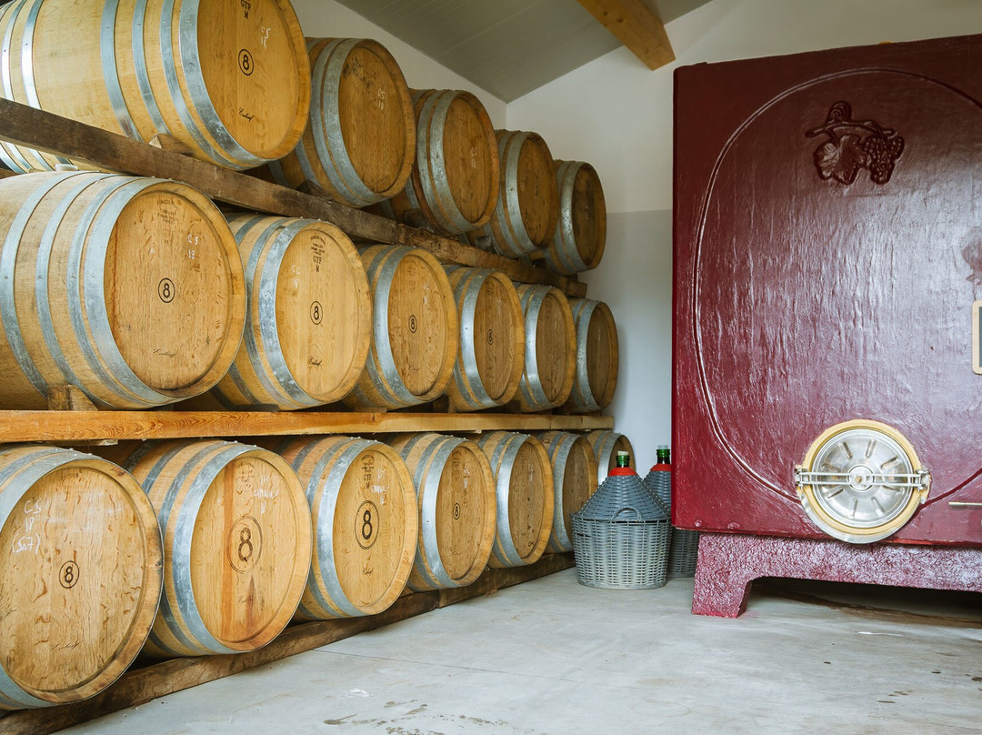 Azienda Agricola Ottomani景点图片