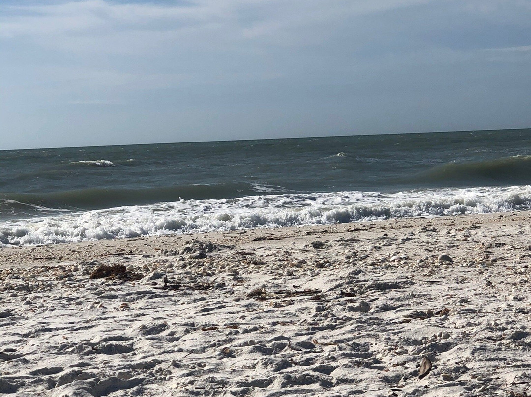 Barefoot Beach Preserve-博尼塔斯普林斯必去景点