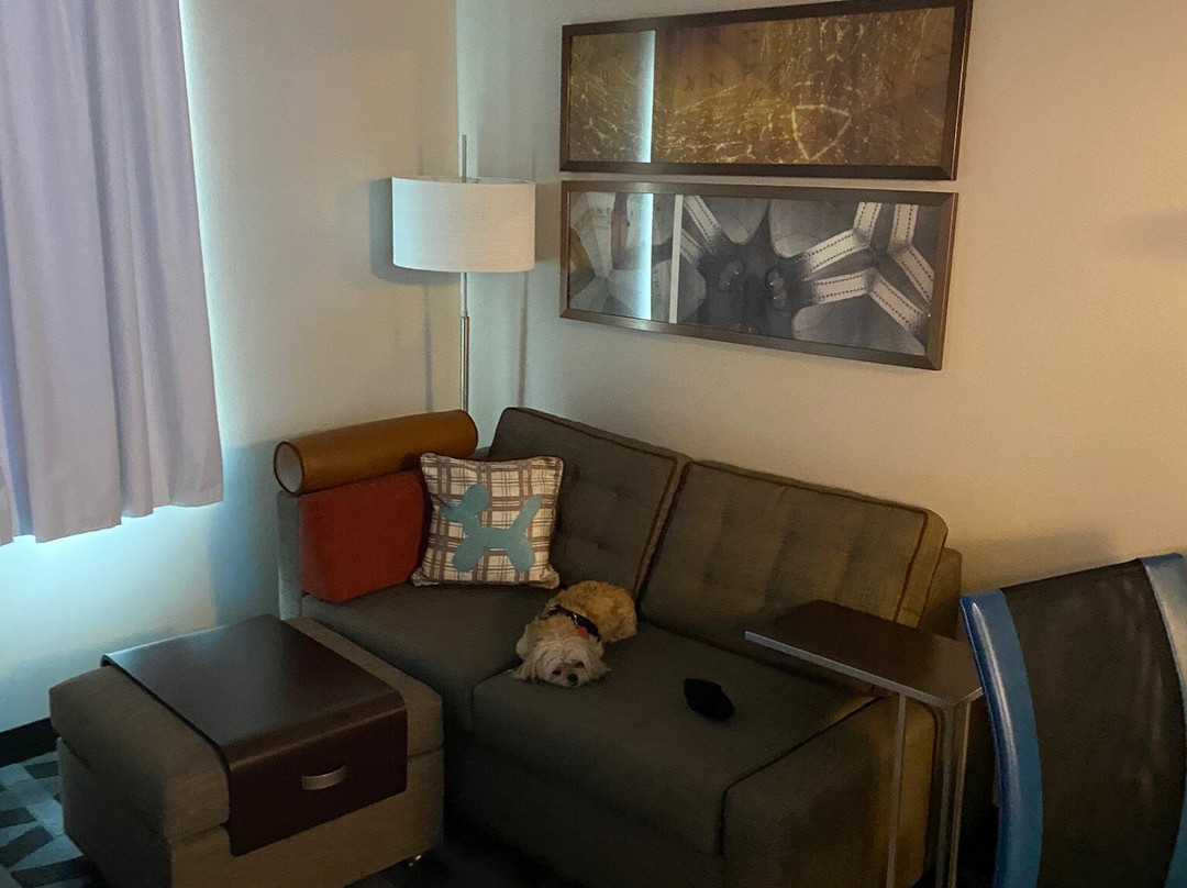 TownePlace Suites by Marriott Tuscaloosa University Area