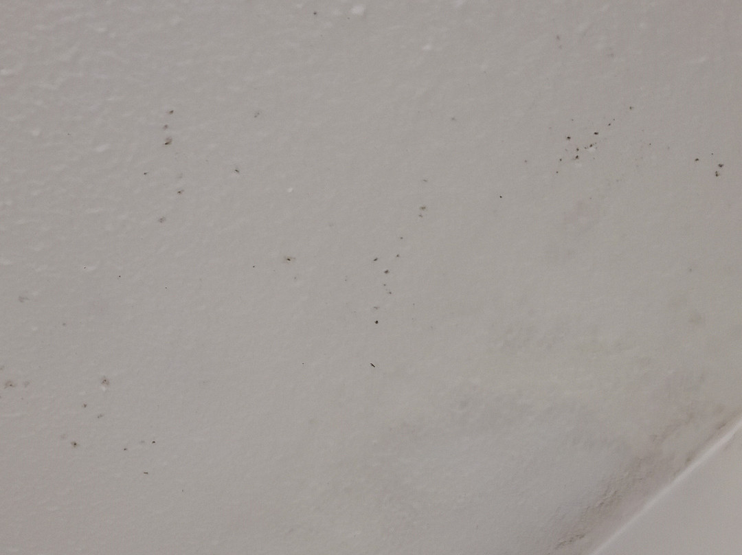 Best Western Huntsville Inn & Suites主图