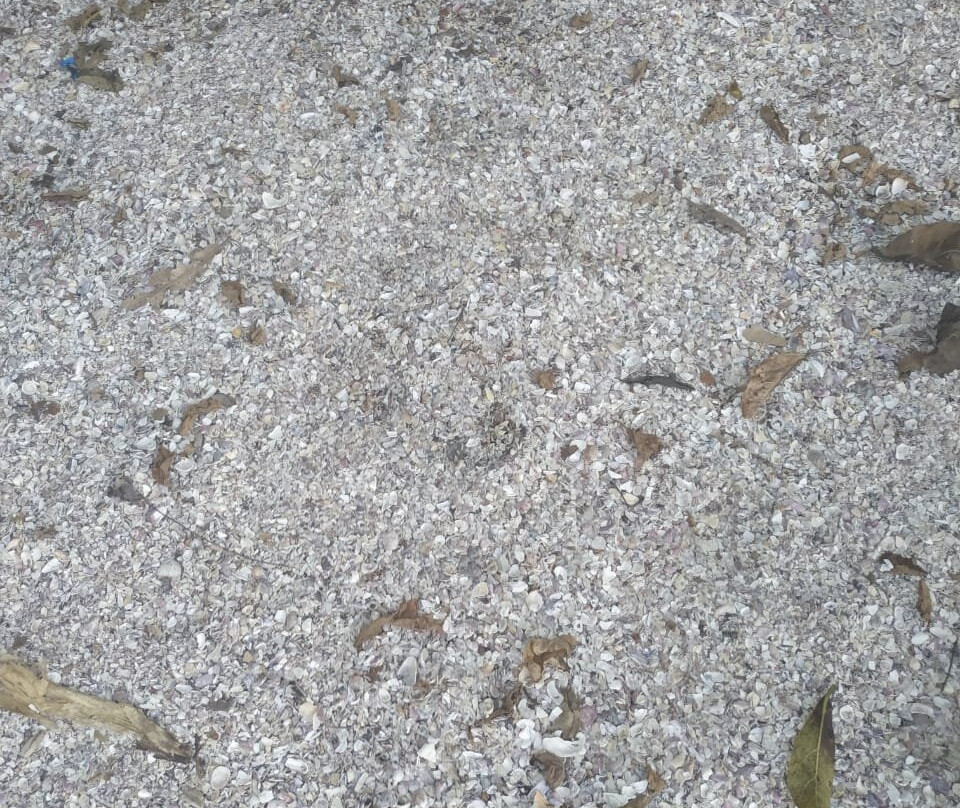 Praia das Conchas-乌巴图巴必去景点