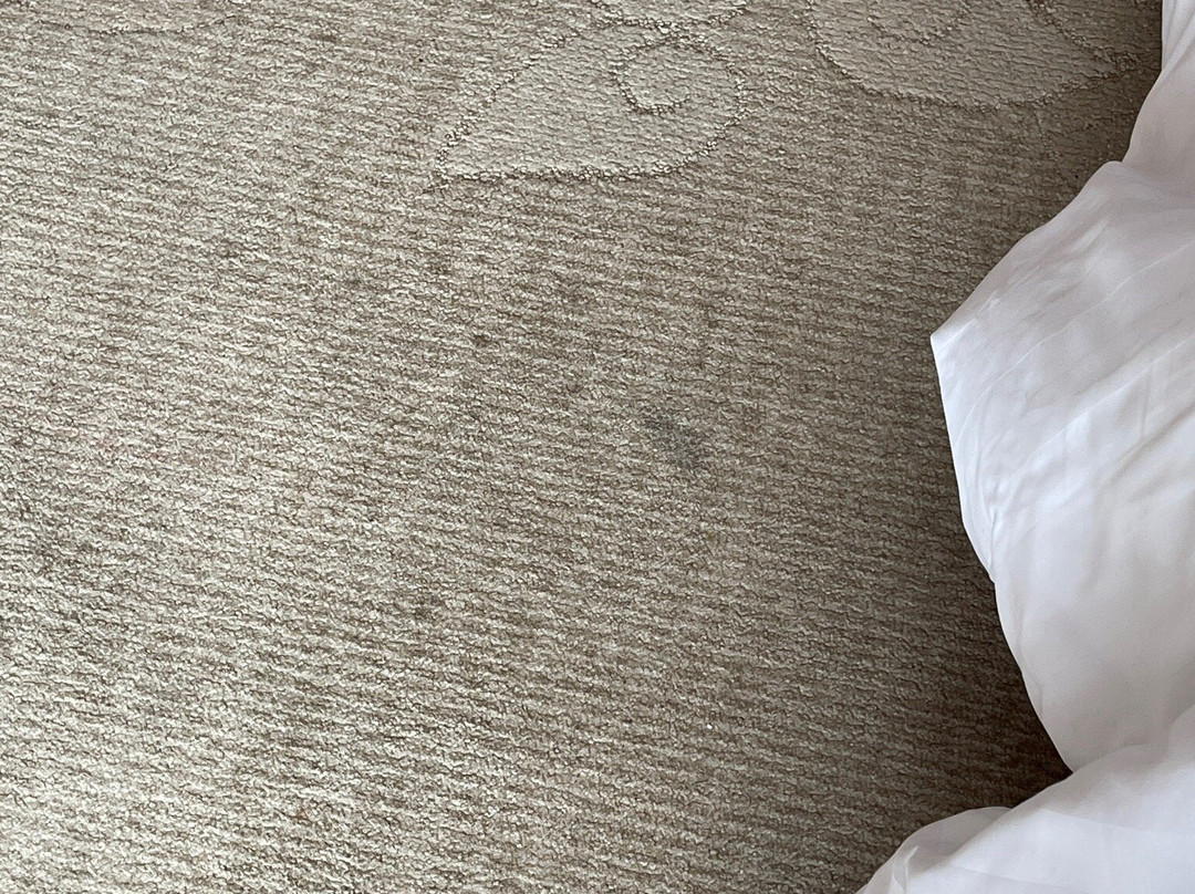 The Excelton Hotel主图