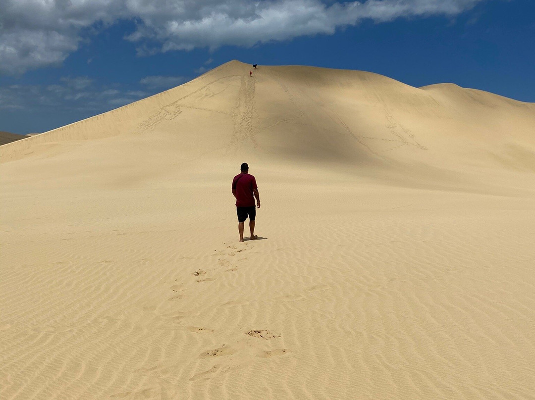 Te Paki Sand Dunes景点图片