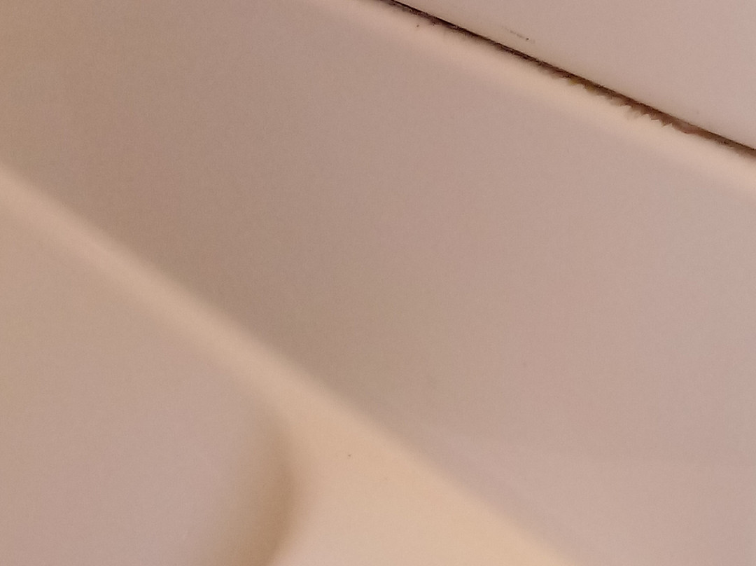 La Quinta Inn by Wyndham Olympia - Lacey主图