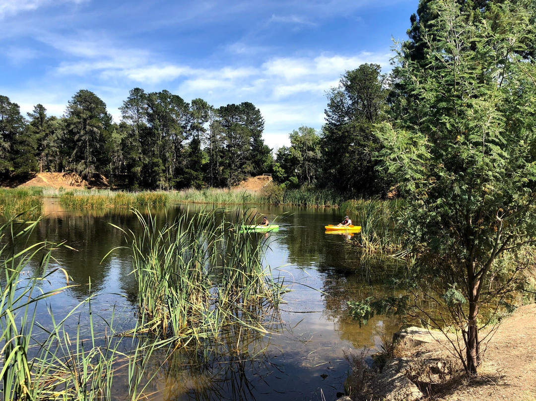 Lake Sambell Reserve-比奇沃思必去景点