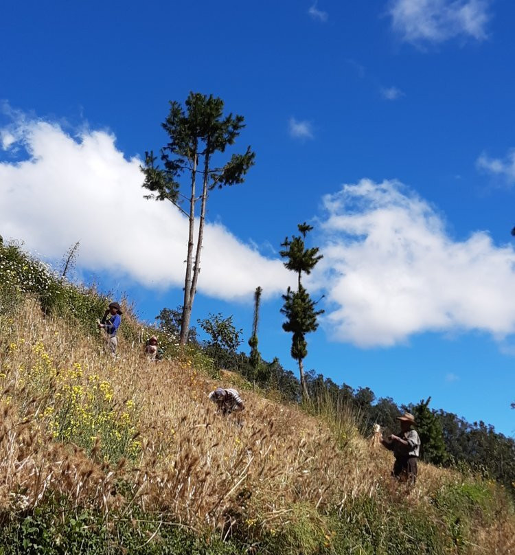 Posada Margaritas主图