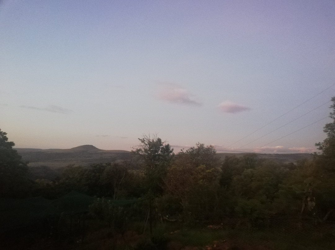 Riverbed Africa主图