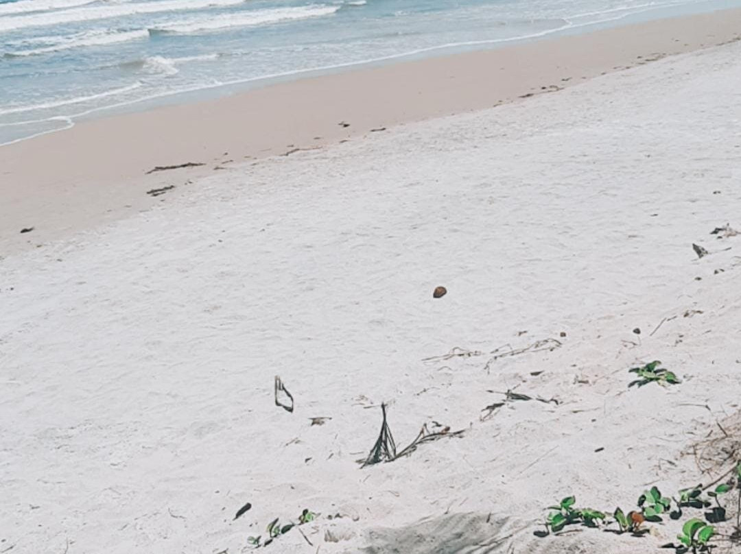 Hotel La Dolce Vita主图