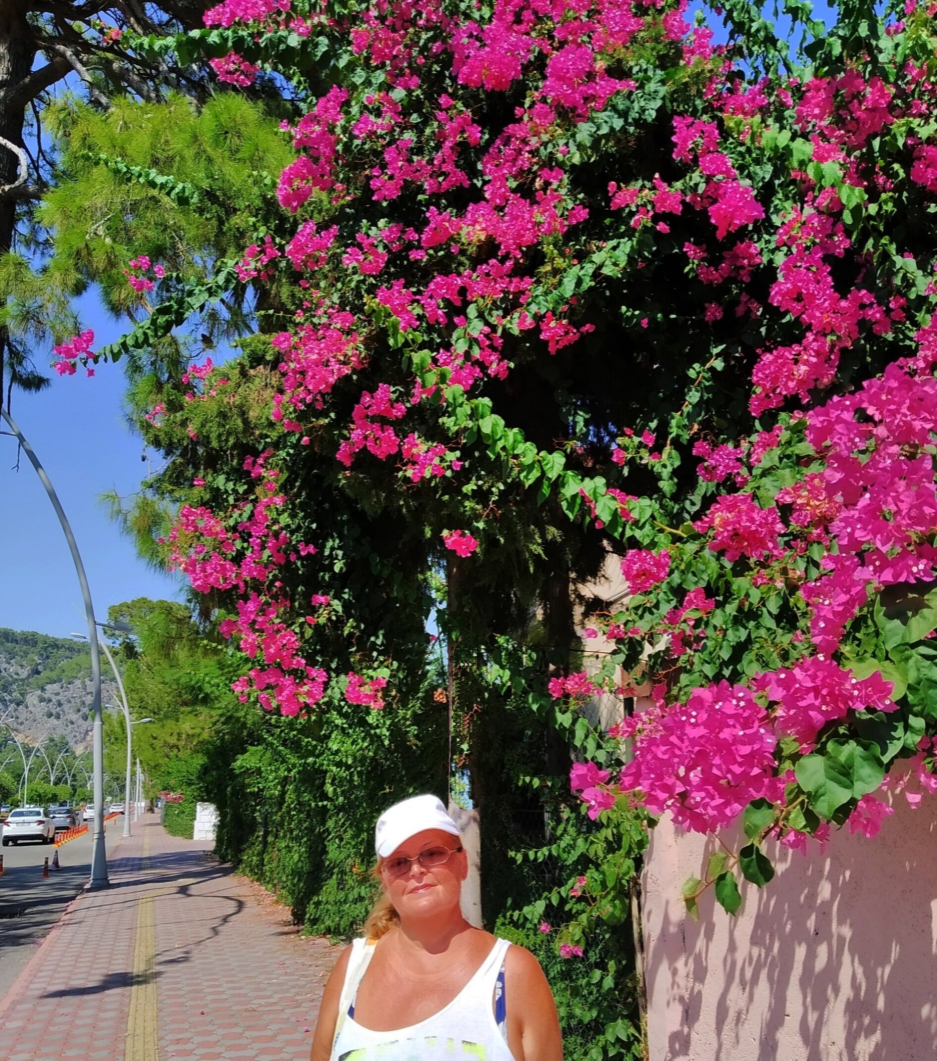 Larissa Park Hotel-官方