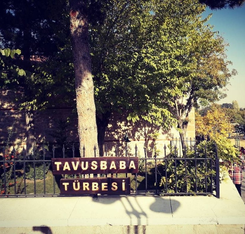Seyh Tavusbaba Turbesi ve Camii景点图片